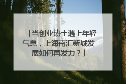 当创业热土遇上年轻气息，上海南汇新城发展如何再发力？
